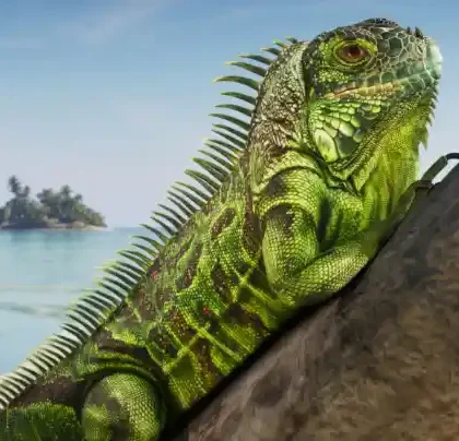 Discover the fauna of GTA 6