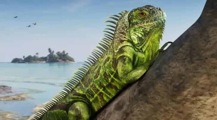 Discover the fauna of GTA 6